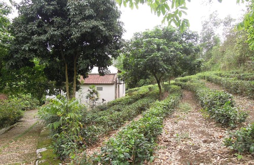 Bai Lang House | Entire Lakeside House in Hanoi Countryside : Private home with resort facilities