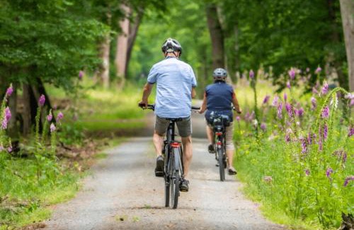 Becherel Apartment | Entre St Malo et Rennes à Becherel