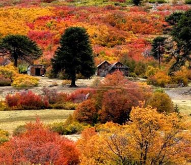 Caviahue House | Enzojo-caviahue