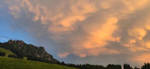 Jungholz Bed & Breakfast | Erd´s Hoimatle