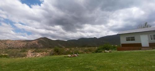 Salto Apartment | Esencia Cabaña