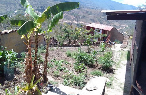 Tingo House | Espacio para Acampar