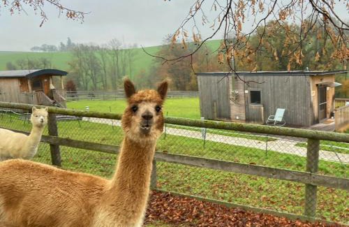 Hochriess Ski Chalet | Esperanzahof