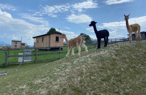 Hochriess Ski Chalet | Esperanzahof