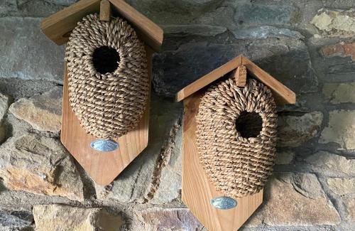 Amel Bed & Breakfast | Estrella dreams