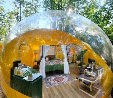 Petite-Riviere-de-l'Ile Hotel | Estrella Glamping