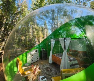 Petite-Riviere-de-l'Ile Hotel | Estrella Glamping