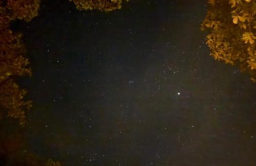 Ranong Cabin | Eternal Forest Beach Bar&Bungalow