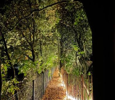 Elmshagen House | Eulennest - Tiny House im Habichtswald