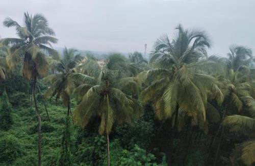 Shiroda House | Euphoric Getaway