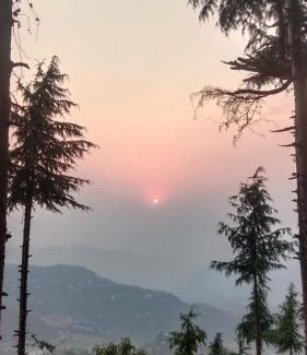 Dalhousie Other | Eva Cabins