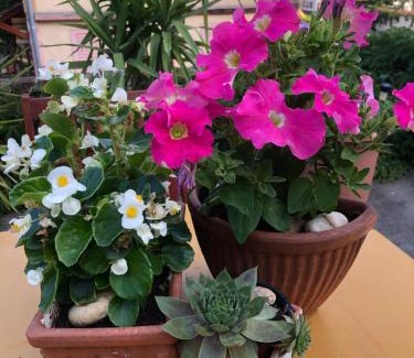 Budakeszi House | Eva Rooms