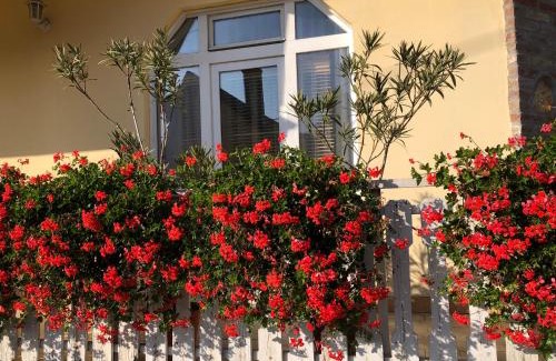 Budakeszi House | Eva Rooms