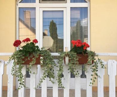 Budakeszi House | Eva Rooms