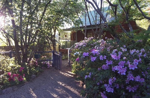 Blackheath Cottage | Evenstar Cottage-Idyllic Mountain getaway