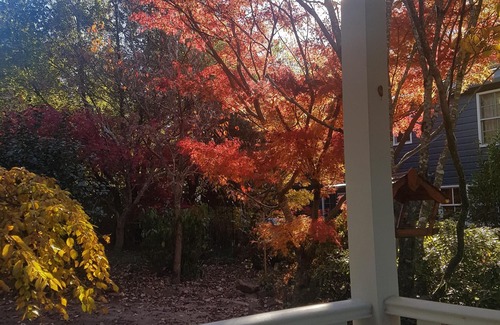 Blackheath Cottage | Evenstar Cottage-Idyllic Mountain getaway