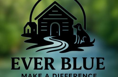 Ma'ayan Baruch Ski Chalet | Ever Blue Suites Inspired by Nature