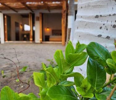 Barra de Potosi Apartment | Exclusiva Casita frente al mar