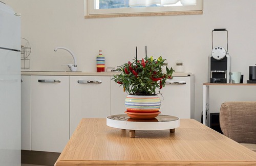 Marina Grande Apartment | Exclusive apartment in the Piazzetta of Capri