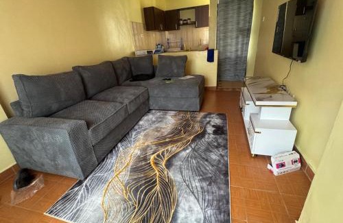 Nairobi Apartment | Executive 1BR Suite TRM Drive, Thika Road