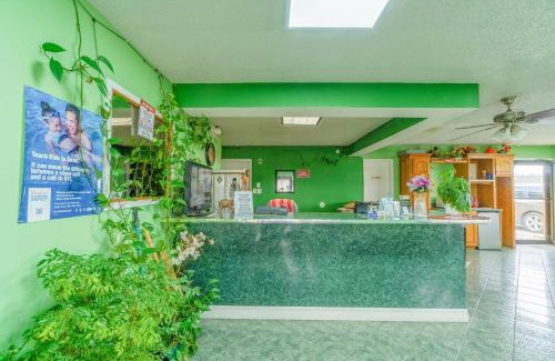 Mineral Wells Hotel | Executive Inn By OYO Mineral Wells US-180