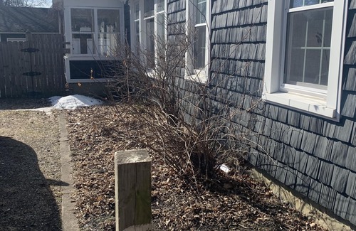 Tecumseh House | Experience Tecumseh charm, just a quick 27-min drive to speedway fun