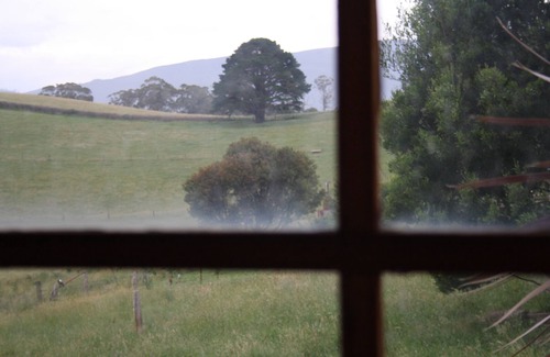 Erica House | "Experience the ultimate retreat surrounded by the untouched beauty of nature.