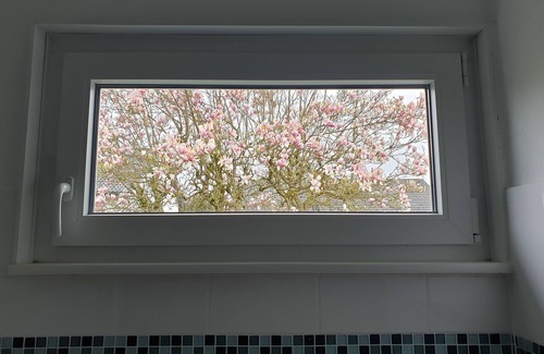 Kandel House | Explore the Palatinate and Alsace, relax in a garden paradise