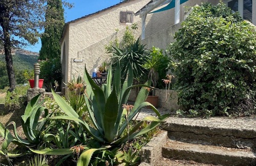 Patrimonio Apartment | F1 with pool