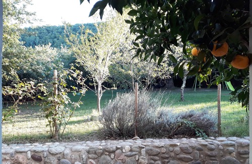 Ceret Apartment | F2 on the ground floor in Céret (66) in a haven of peace 30 minutes from Racou beach