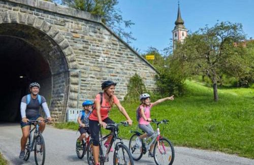 Podcetrtek Apartment | F96 TERME OLIMIA, Aqualuna KAMP NATURA PODČETRTEK card included all year