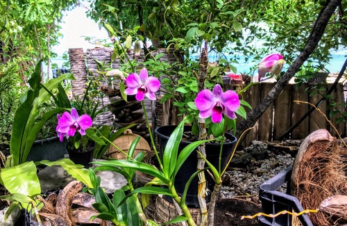 Fakarava Apartment | FAKARAVA SUD – Beach Blessing Bungalow 5