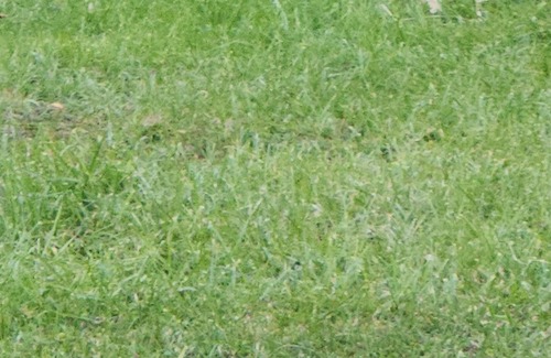 Innisfil Cottage | Family cottage by the lake.