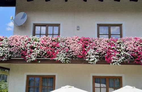 Bad Goisern House | Family House Bad Goisern am Hallstättersee