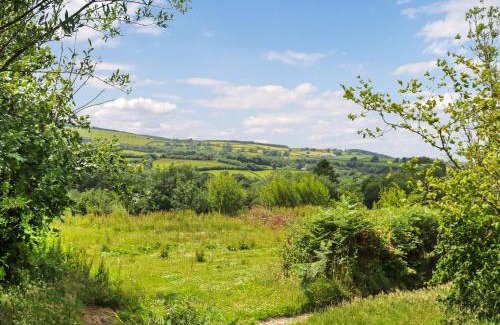 Llanybydder House | Farm House - Uk50262