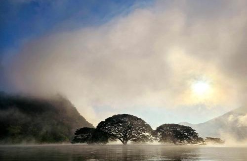 Phrao Cabin | Farm Santisuk Onsen