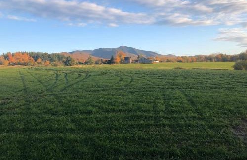 Stowe Area House | Farmhouse cottage close to Smugglers Notch