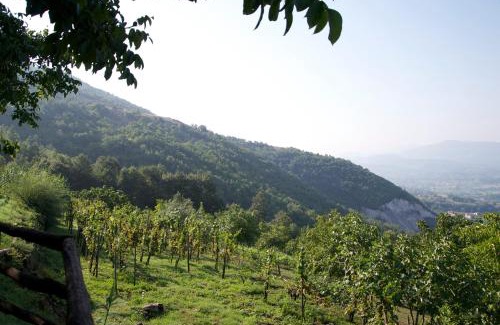 Padula House | Fattoria Alvaneta