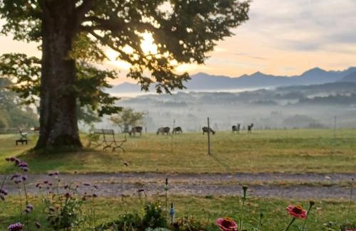 Bad Bayersoien Apartment | Ferien beim Baur