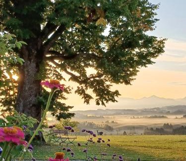 Bad Bayersoien Apartment | Ferien beim Baur