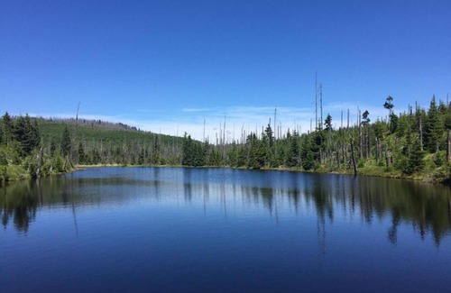 Finsterau Apartment | Ferienappartements Fam. Haselberger