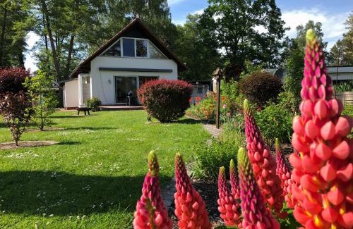 Rahnsdorf House | Ferienhaus direkt an der Spree mit Whirlpool und Sauna
