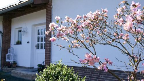 Osterode am Harz House | Ferienhaus Dornröschen
