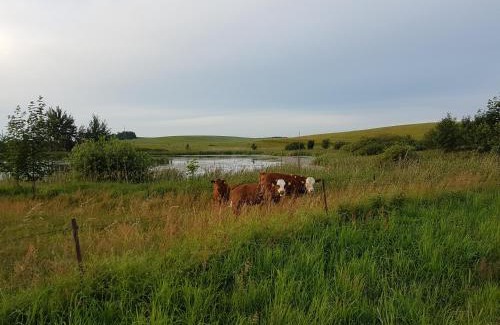 Grambzow House | Ferienhaus-Grambzow