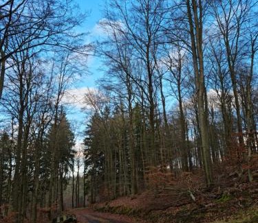 Muerlenbach House | Ferienhaus Johann