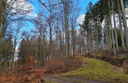 Muerlenbach House | Ferienhaus Johann