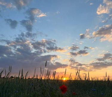 Gartz House | Ferienhaus Kristina Steinmetz