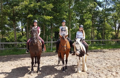 Untersollbach House | Ferienhaus: Mitten auf dem Reiterhof
