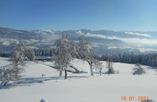 Sulzberg Apartment | Ferienhof Feurle