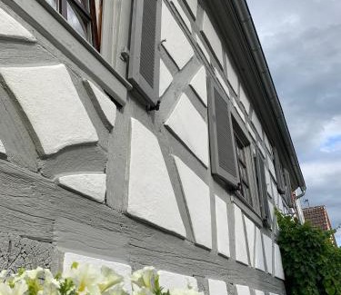 Gleiszellen-Gleishorbach Apartment | Ferienwohnung Sambachhaus